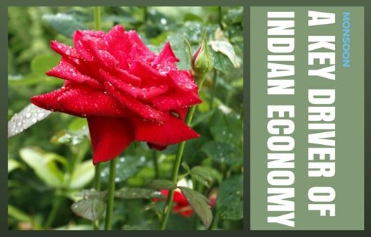Monsoon - A key driver of Indian economy