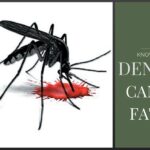 Dengue & why it can be fatal