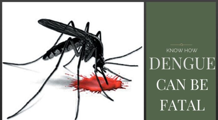 Dengue & why it can be fatal