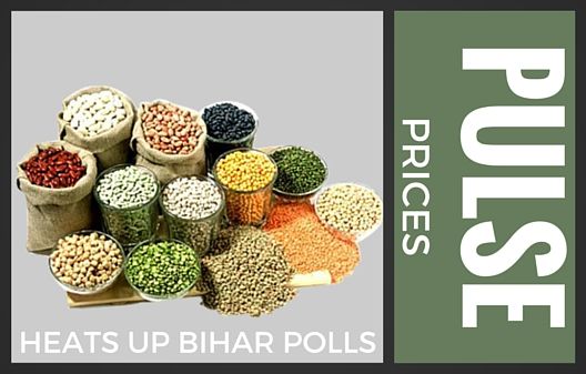 Pulse to dominate Bihar poll menu