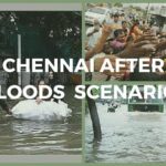 Chennai after floods – pg