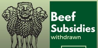Beef subsidies being withdrawn