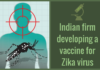 The vaccines and bio-therapeutic manufacturer on Wednesday announced that it is working on ZIKAVAC vaccines for Zika infection.