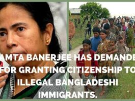Bangladeshi Immigrants