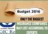 Budget 2016-17 : may list/divest only the top general insurers