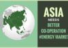 Asian countries are rich in energy resources