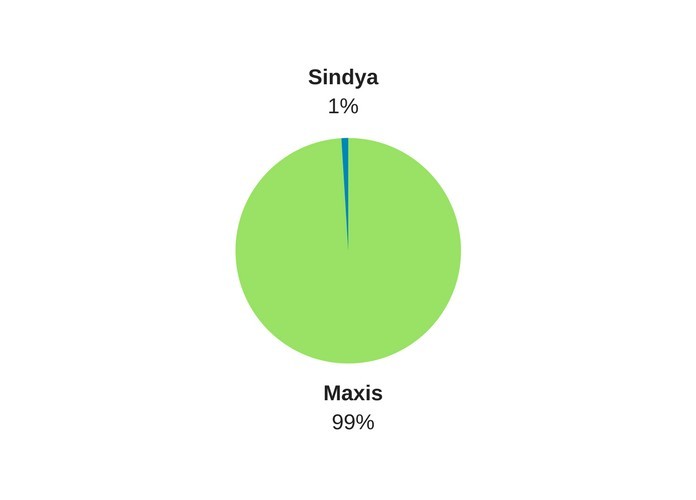 Final shareholding pattern of Maxis in Aircel