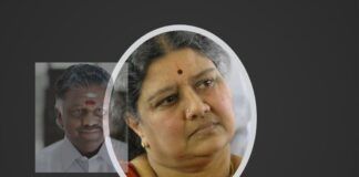It was as brutal as political coups go; Sasikala elected CM but for how long?