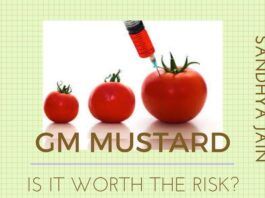 Has the Government of India looked at all the aspects of introducing GM Mustard?