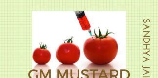 Has the Government of India looked at all the aspects of introducing GM Mustard?