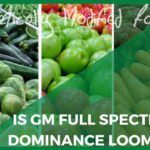 GM seeds in several food crops