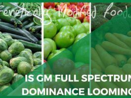 GM seeds in several food crops