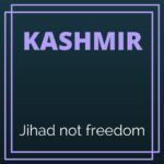 Bhat the new Hizbul commander spells out the aim - to wage Jihad in Kashmir