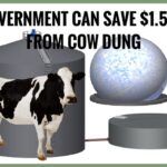 Government can save 1.5 million from cow dung