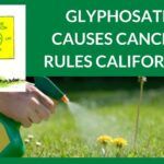 Glyphosate causes cancer, rules California
