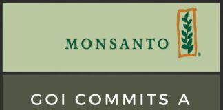 In a major goof-up, GOI fails to submit before Delhi High Court on GMO involving Monsanto