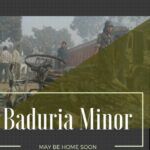 Baduria boy, a minor, may be back home soon!