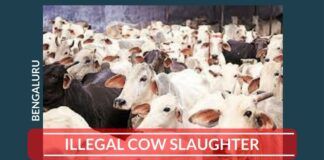 Cow Slaughter in Bengaluru