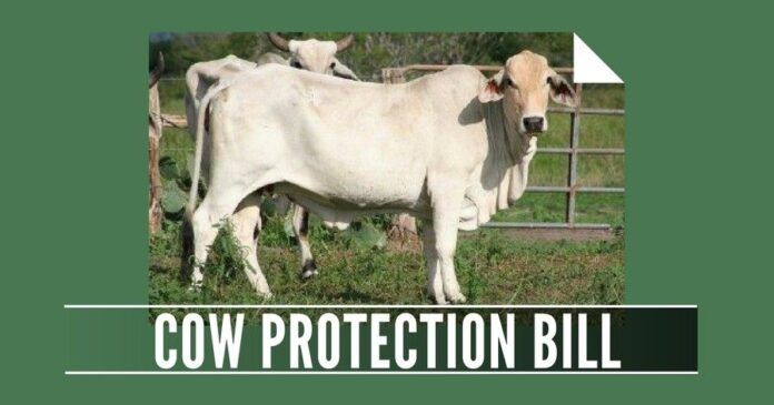 The Cow Protection Bill, 2017 will be tabled for discussion and approval by Subramanian Swamy in the Rajya Sabha