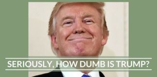 Seriously, How Dumb is Trump?