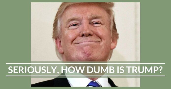 Seriously, How Dumb is Trump?