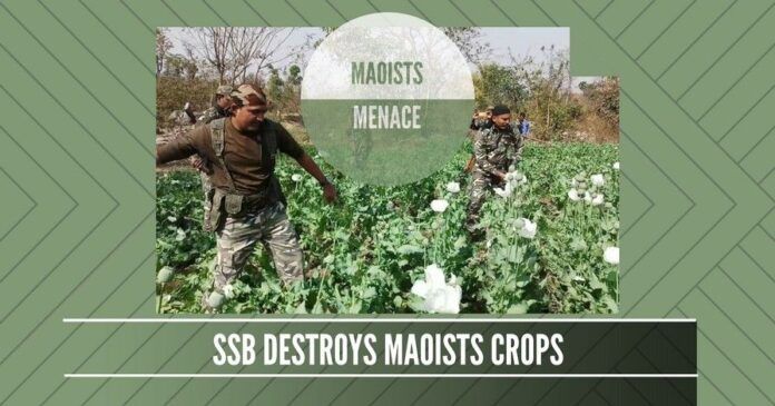 Will the destruction of poppy crops of Maoists result in curbing this menace?