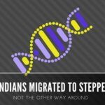 Early Steppe population does not have the Y-chromosome marker that is present in a large proportion of Indians even today
