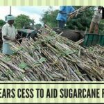 Govt clears cess to aid sugarcane farmers
