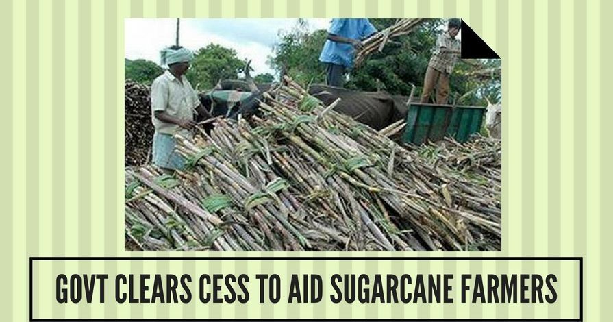 Govt clears cess to aid sugarcane farmers