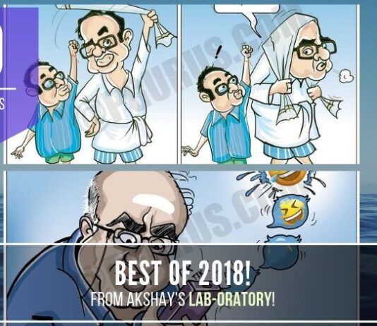 The Top 20 Politoons from PGurus, based on the response we got from you, our dear reader! May you have a better 2019!