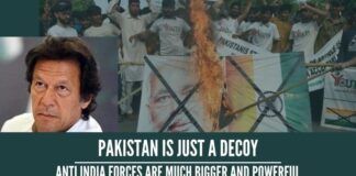 Pakistan is just a decoy, anti India forces are much bigger and powerful