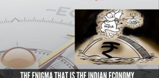 The enigma that is the Indian Economy - Microeconomic approach instead of a Macroeconomic one?