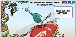 Kashmir's Forgotten Apple
