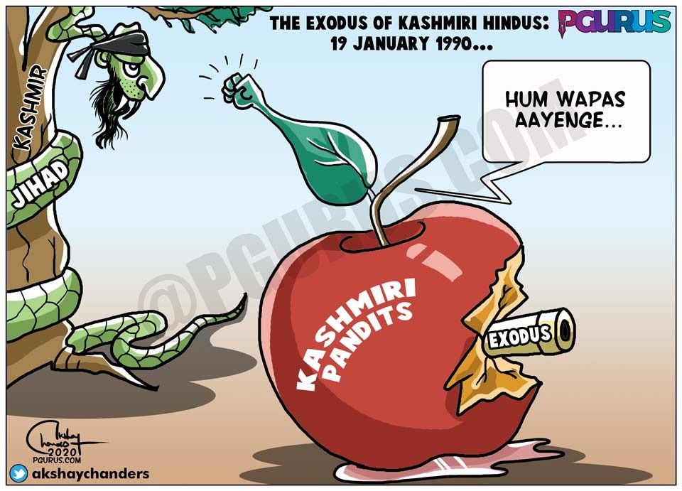 Kashmir's Forgotten Apple - PGurus