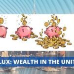 Flux_ Wealth in the United States