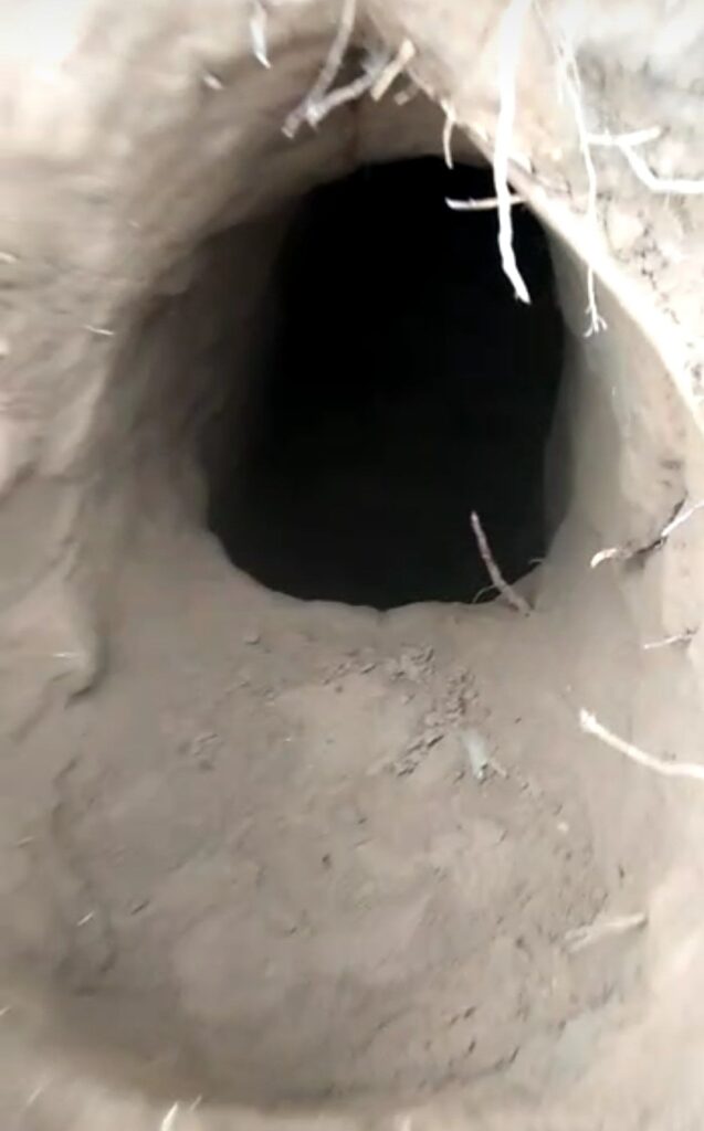 Image of the Tunnel