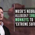 Elon Musk-owned Neuralink's test monkeys were 'tortured' and allegedly suffered brain hemorrhages, rashes, and self-mutilation, animal rights group claims