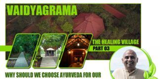 In this three-part series, we have looked at a self-contained, Atma Nirbhar ecosystem-based healing village. The central question of why Ayurveda, when there are so many choices available, is answered in this part.