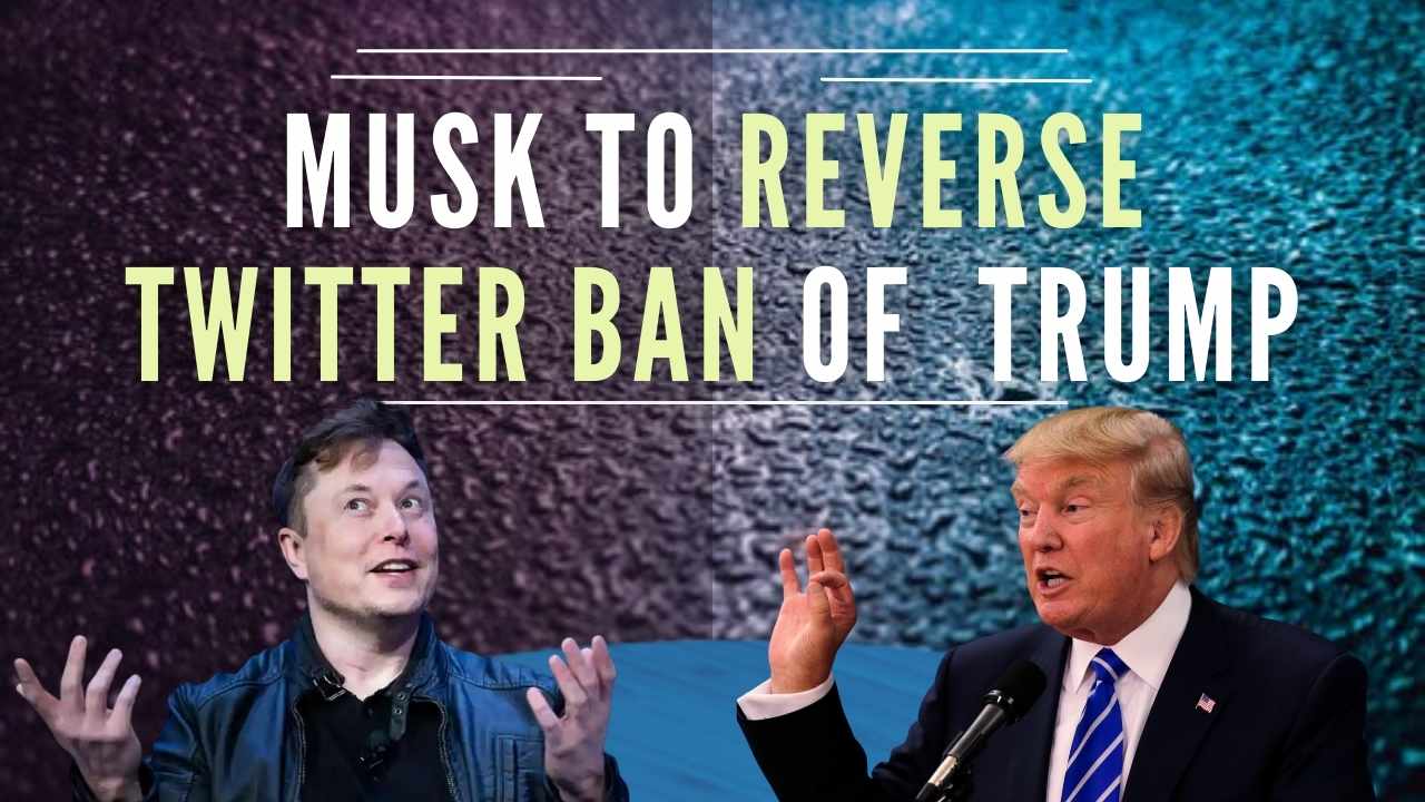 elon musk to reverse 'permanent twitter ban' of donald trump