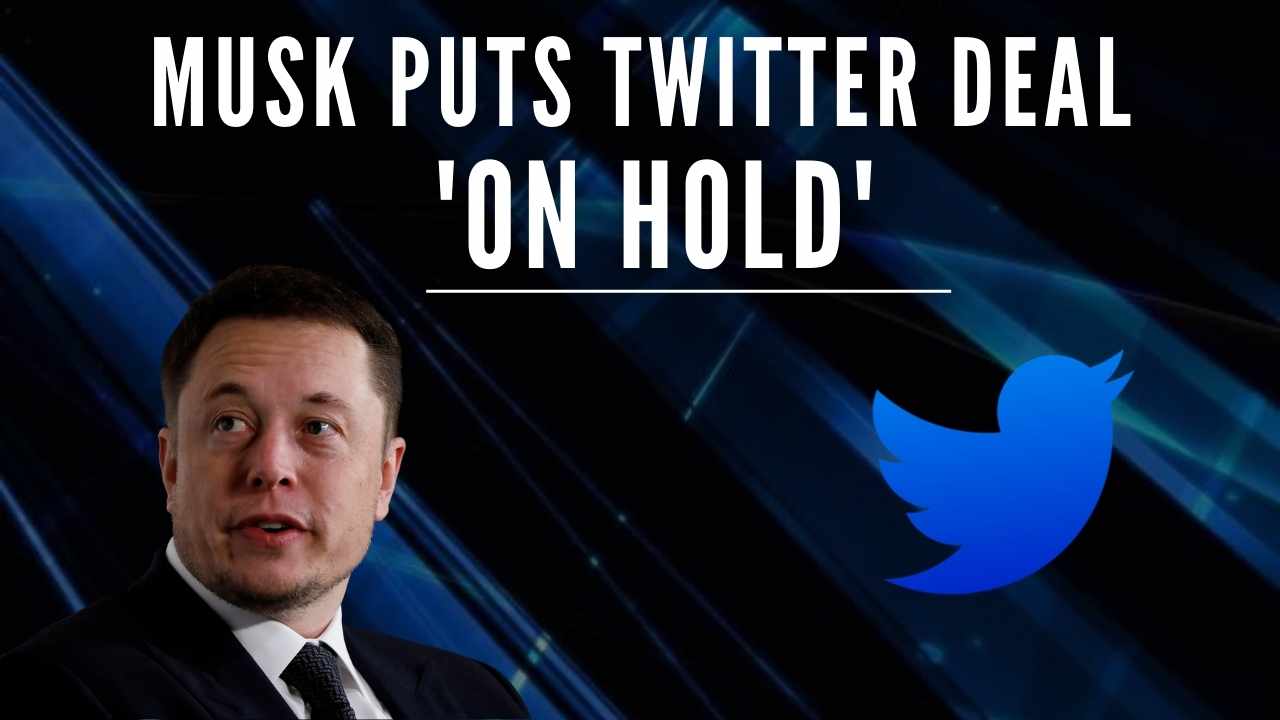 Elon Musk puts Twitter deal temporarily 'on hold' over fake user