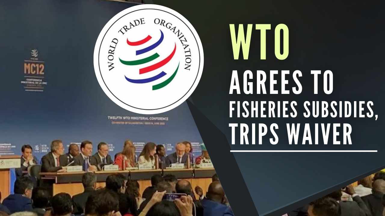 wto trips waiver 2022