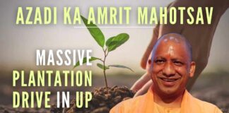 The total number of trees to be planted in Uttar Pradesh will be 35 crore