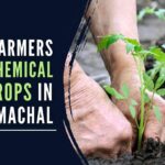 Himachal farmers are happy with using natural resources without the use of chemical fertilizers or spraying pesticides