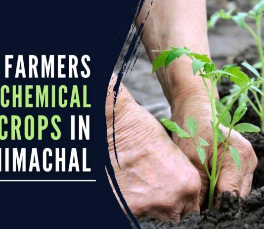 Himachal farmers are happy with using natural resources without the use of chemical fertilizers or spraying pesticides