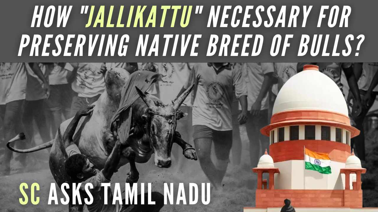 A 5-judge Constitution bench headed by Justice K M Joseph also asked the state whether an animal can be used, as in “Jallikattu”, for the entertainment of humans