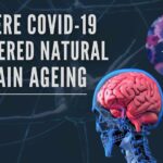 Researchers discover gene usage in the brains of patients with COVID-19 is similar to those observed in ageing brains