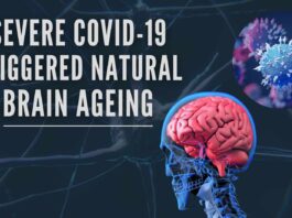 Researchers discover gene usage in the brains of patients with COVID-19 is similar to those observed in ageing brains