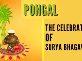 ﻿﻿In the whole world, Pongal is the only festival that is not limited to any particular religion or belief