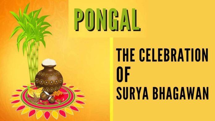 ﻿﻿In the whole world, Pongal is the only festival that is not limited to any particular religion or belief