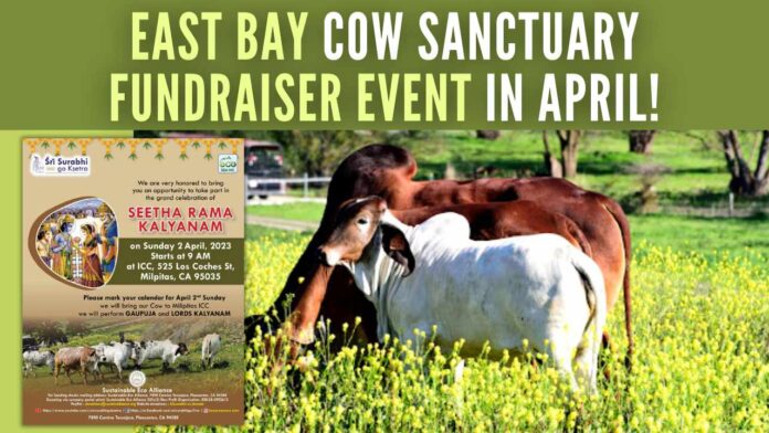 The auspicious event is part of a fund-raising initiative to purchase a permanent plot of land for the family of cows in East Bay for Go-Kshetra